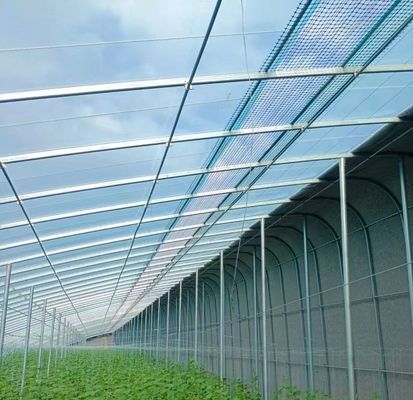 Origine Éco-serre pour tomate/capsicum/ concombre Structure en acier et coût de transport