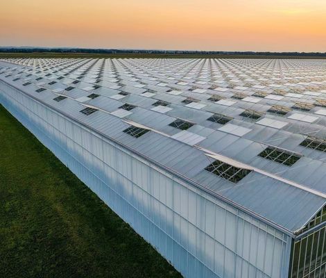 Origine Éco-serre pour tomate/capsicum/ concombre Structure en acier et coût de transport