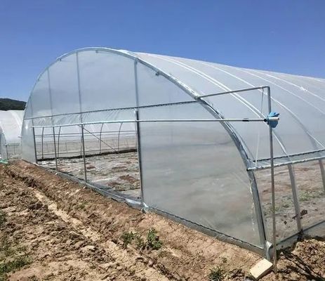 Serre commerciale multifonctionnelle avec vue panoramique sur les fleurs et terrasse en verre rayé