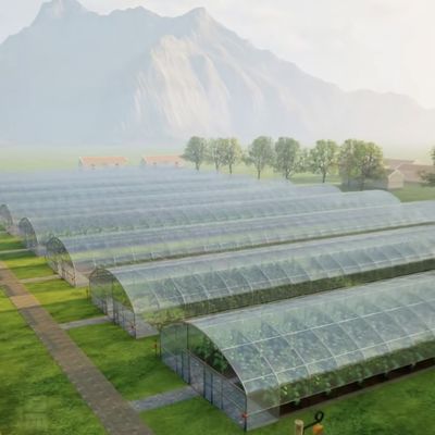 Serre commerciale à versement intégral pour les tomates et les fraises dans le tunnel de tuyauterie