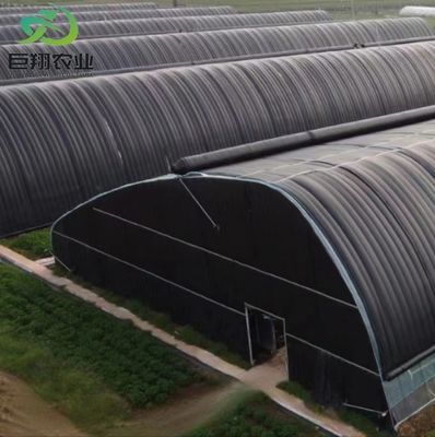 Serre commerciale Serres à double arche avec vibrateur de neige en monnaie américaine