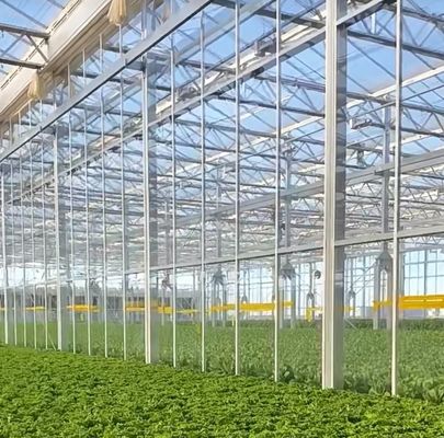 Serre commerciale Serres à double arche avec vibrateur de neige en monnaie américaine