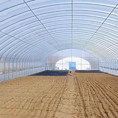 Taille du paquet 50,00cm * 60,00cm * 50,00cm Serre tunnel pour l'agriculture et les légumes
