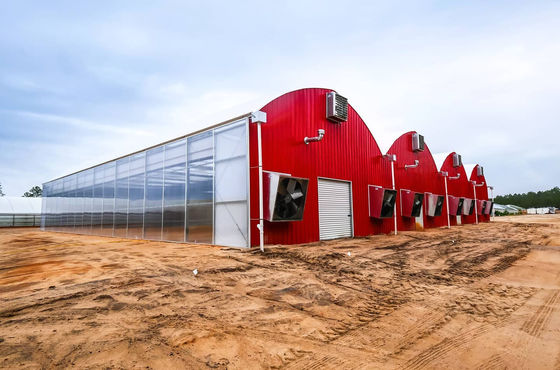 Aquaculture Structure en acier Serre solaire avec voile volet roulant et matériaux
