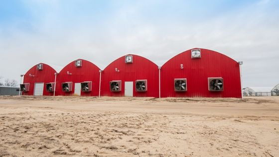 Aquaculture Structure en acier Serre solaire avec voile volet roulant et matériaux