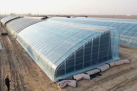 Conception de serre de structure d'acier sur mesure en fonction des besoins du marché américain