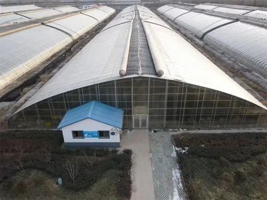 Conception de serre de structure d'acier sur mesure en fonction des besoins du marché américain