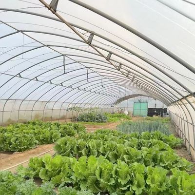 Remboursements pratiques pour notre kit innovant de serre à irrigation goutte à goutte