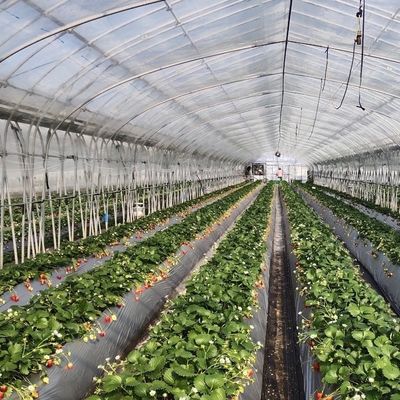 Remboursements pratiques pour notre kit innovant de serre à irrigation goutte à goutte