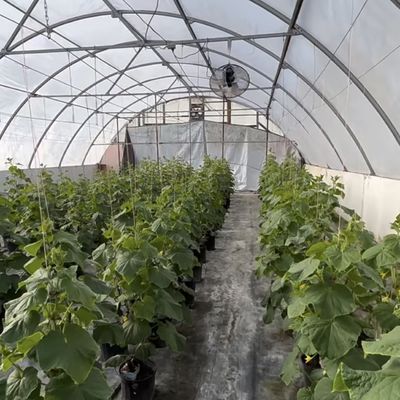 Remboursements pratiques pour notre kit innovant de serre à irrigation goutte à goutte