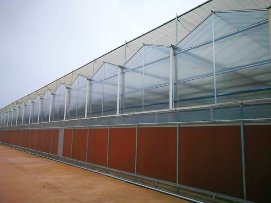 Serre commerciale en PE film plastique Serre agricole pour les États-Unis/Canada/Australie