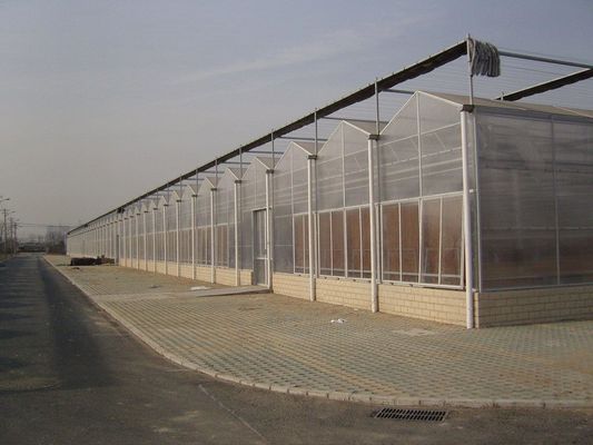 Toiture en forme de voûte à voûte Serre écologique pour les légumes et les jeunes pousses