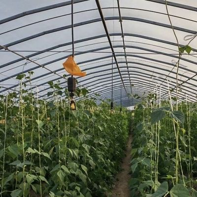 L'agriculture tout au long de la saison est facilitée grâce au kit de serre en grand tunnel et au film de couverture