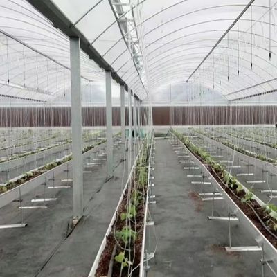 Serre à plusieurs étages avec hydroponie et échantillons de film plastique US 20/m2