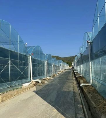 Monnaie des États-Unis JX-A0023 Serre à pellicule multifonction pour la plantation de tomates et de laitue de concombre