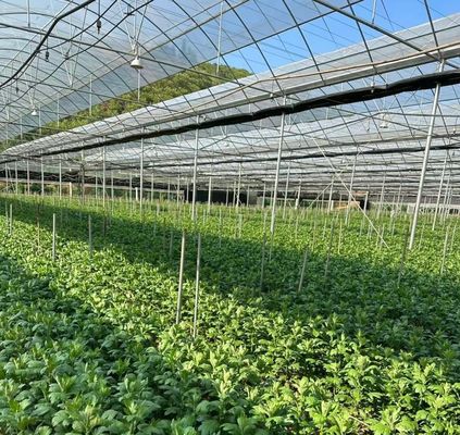 Monnaie des États-Unis JX-A0023 Serre à pellicule multifonction pour la plantation de tomates et de laitue de concombre