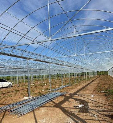 Serre à films multifonctions pour l'agriculture verticale
