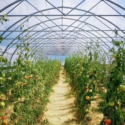 Système innovant de serre à goutte à goutte à travers un tunnel à irrigation à plusieurs étages avec remboursement de 30 jours