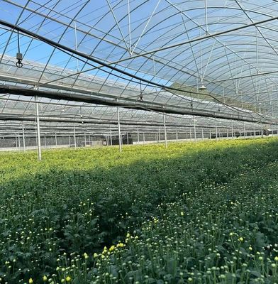 Serre à pellicule à longue portée avec refroidissement/ombrage/irrigation