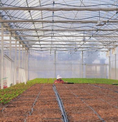 Serre à pellicule à longue portée avec refroidissement/ombrage/irrigation