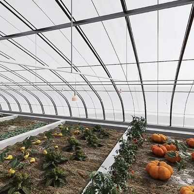 Système de culture hydroponique en serre par tunnel en arc à plusieurs travées