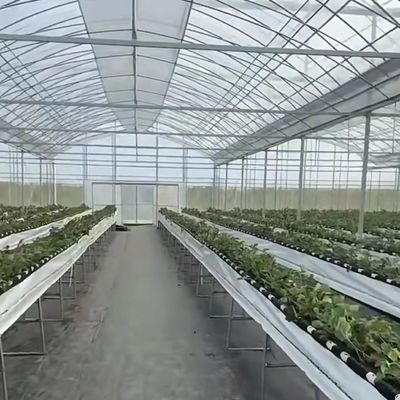 Système hydroponique de culture végétale en serre à plusieurs étendues pour structure en acier 20.000kg