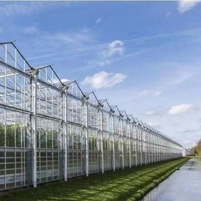 Serre à la lumière du soleil pour la plantation de capsicum méthode de culture de légumes avancée