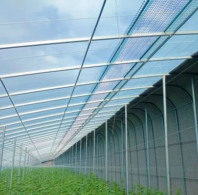 Demandes personnalisées Origine Serre à double arche pour légumes 20GP/40GP/40HC