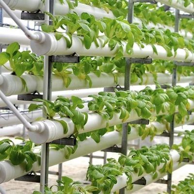 Coût d'expédition et délai de livraison pour les serres hydroponiques à grande échelle