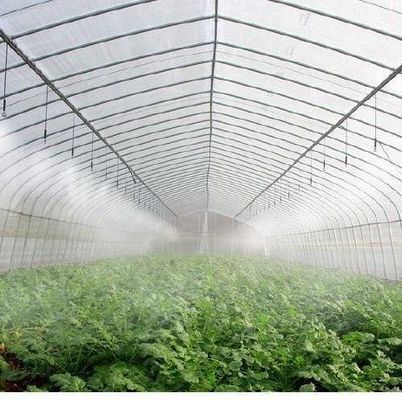 Serre à double arche personnalisée pour les légumes personnalisés selon vos besoins
