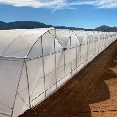 Serre à double arche personnalisée pour les légumes personnalisés selon vos besoins