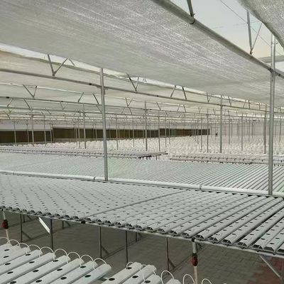 Demande personnalisée pour une serre multi-étendue à Venlo 1 mètre carré Min.Order