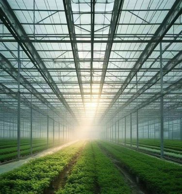 Serre pour la culture des légumes avec vibrateur à neige Retour des remboursements dans les 30 jours