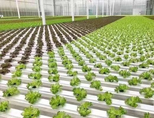 Serre pour la culture des légumes avec vibrateur à neige Retour des remboursements dans les 30 jours