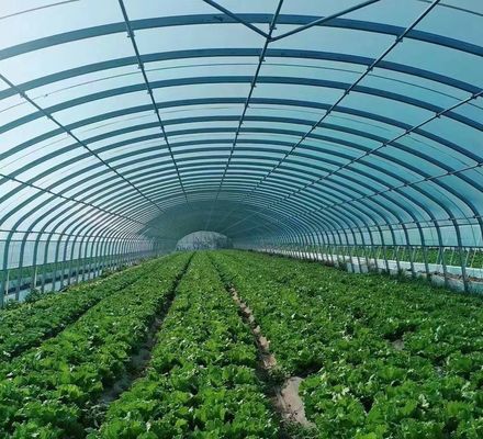 Serre pour la culture des légumes avec vibrateur à neige Retour des remboursements dans les 30 jours