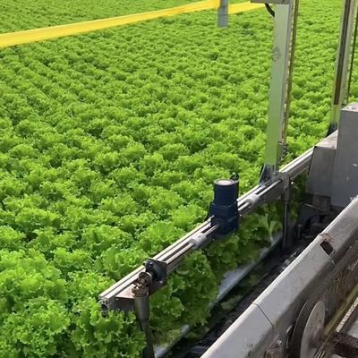 Système d'agriculture verticale à plusieurs étendues en serre à film plastique