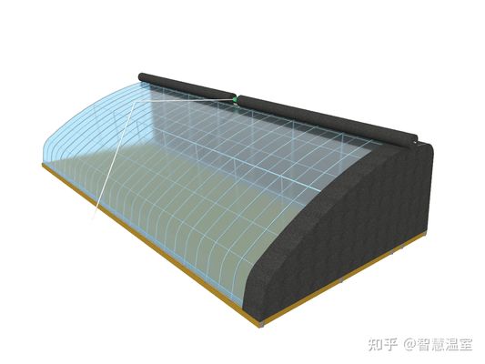 Demande personnalisée Serre de vibrateur de neige pour l'agriculture de capsicum en monnaie américaine