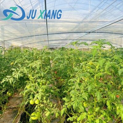 Demande personnalisée Serre de vibrateur de neige pour l'agriculture de capsicum en monnaie américaine
