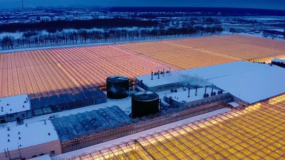 Cultiver des champignons sur le toit en arche Lumière solaire Serre Package Poids brut 1000.000kg