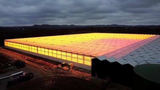 Cultiver des champignons sur le toit en arche Lumière solaire Serre Package Poids brut 1000.000kg