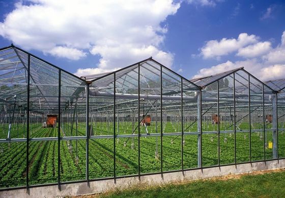 Cultiver des champignons sur le toit en arche Lumière solaire Serre Package Poids brut 1000.000kg