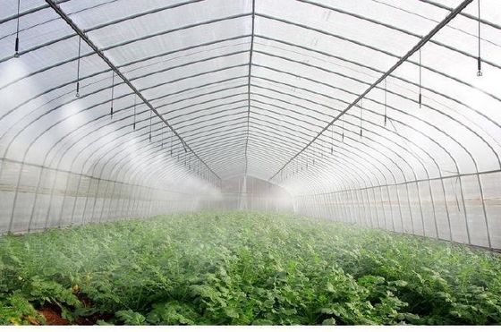 Cultiver des champignons sur le toit en arche Lumière solaire Serre Package Poids brut 1000.000kg