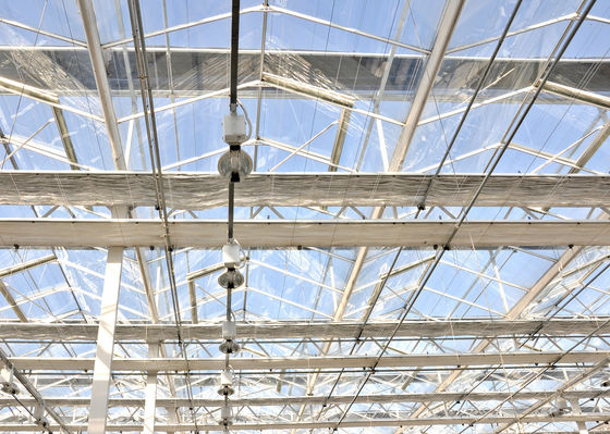 Demande personnalisée Serre à double poutre pour la culture de tomates en monnaie américaine
