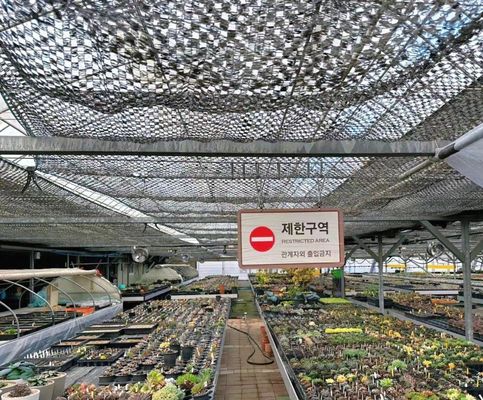 Personnalisation Serre à tunnel en arc Serre à lumière solaire Pour la culture du capsicum