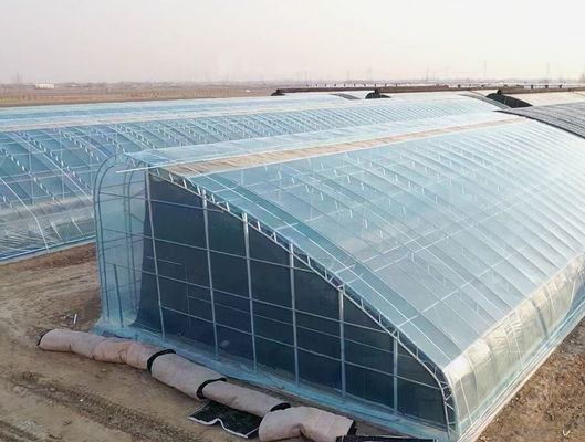 Personnalisation Serre à tunnel en arc Serre à lumière solaire Pour la culture du capsicum