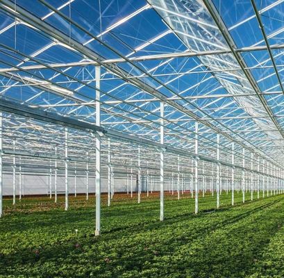 Personnalisation Serre à tunnel en arc Serre à lumière solaire Pour la culture du capsicum