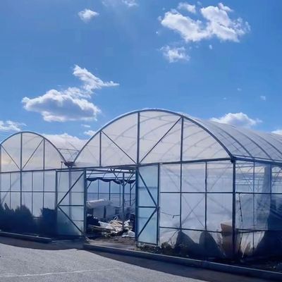 Kit de serre commerciale multi-span avec système d'irrigation à goutte à goutte en PVC durable