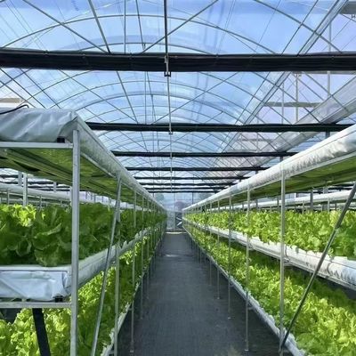 Kit de serre commerciale multi-span avec système d'irrigation à goutte à goutte en PVC durable