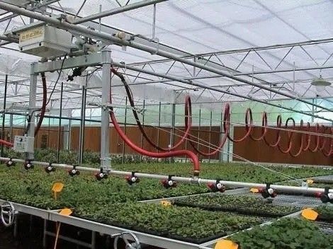 Origine Serre à poutre à double arc pour le capsicum Coût d'expédition et Serre de production