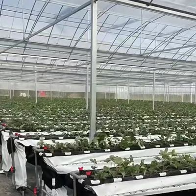 Origine Serre agricole à film multifonction pour votre entreprise agricole